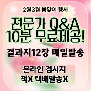 MBTI정식검사 고급형 + 결과해석지12장 + 전문가Q&A, MBTI정식검사 fom Q 전문해석+결과 해석지12장