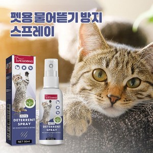 YB 반려동물 행동교정 스프레이 반려동물의 가구와 소파 긁힘 방지 스프레이 JMS-103, 1개, 50ml