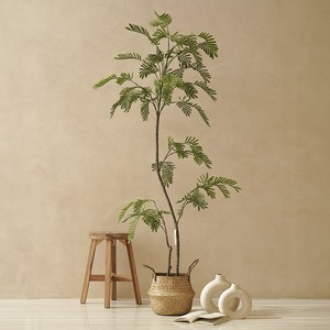 플라우스302 미모사 조화 나무 + 왕골바구니세트, 1세트, 190cm