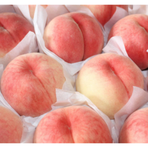 [달콤과즙] 고당도 털복숭아 말랑이 물복 백도 복숭아, 1개, 1kg(중소과)