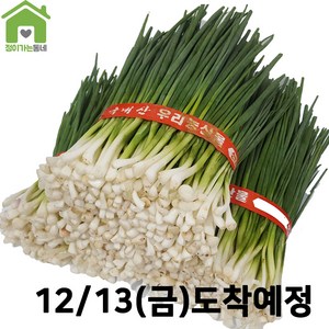 국내산 깐쪽파 쪽파 파 1단 (약1Kg), 1kg, 1개