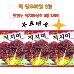 상추씨앗 적치마상추종자 적상추씨앗 3봉1세트, 1세트