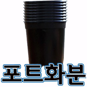 순희농장 이색포트 검정포트 지름12cm x 125개 포트화분, 이색포트(검정)-125개