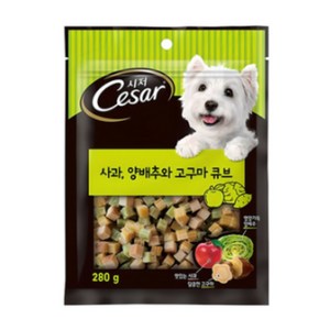 시저 강아지 큐브 트릿