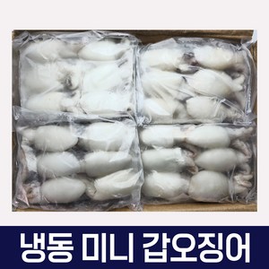 다인수산몰) 갑오징어 베이비이까 미니갑오징어 2.16kg 식당 도매, 9미(20/40), 1개