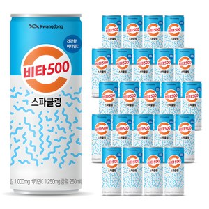 비타500 스파클링, 250ml, 24개