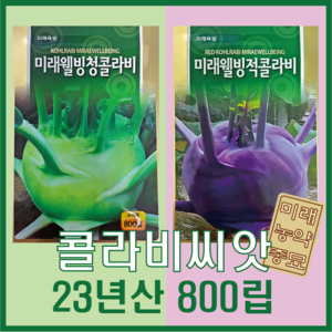 콜라비 씨앗 800립- 청콜라비 / 적콜라비 중 택1 (23년산), 1개