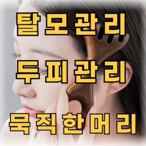 [TBN] 직장인 수험생 학생 스트레스 천연샌들우드 탈모관리 사슴뿔괄사 두피 마사지기, 사슴뿔 샌달우드, 1개