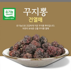 친환경농법으로 재배한 건강한 꾸지뽕, 1개, 200g