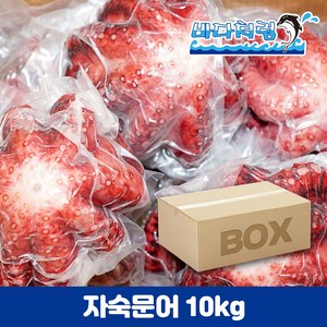 자숙문어 업소용 10kg 필리핀 냉동 삶은문어 박스 도매, 10미(900-1100), 1개