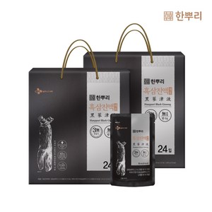 CJ 한뿌리 흑삼진액 제로, 2개