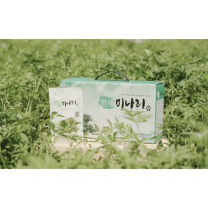 한재 미나리즙 70ml*30포, 2.1L, 1개