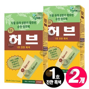 동성제약 허브 포비건 헤어크림 스피디 염색제, 1호 진한흑색, 2개