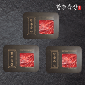 [당일발송] 부드럽고 고소한 1++등급 투뿔 프리미엄 한우 국거리(냉장), 3개, 300g