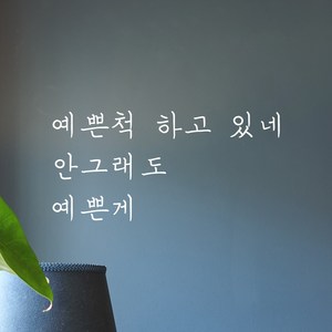 모노먼트 손글씨 감성 레터링 스티커 - 예쁜척 하고 있네 안그래도 예쁜게, 흰색