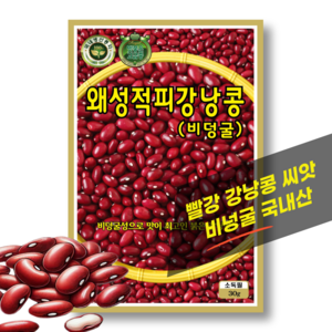 씨앗팜 빨강 강낭콩 종자 씨앗 (30g) 비넝쿨 국내채종, 1개