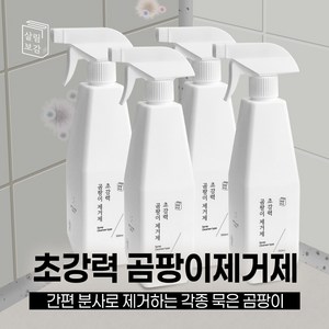 살림보감 초강력 곰팡이 제거제 벽지곰팡이제거 베란다 벽 곰팡이제거 화장실 욕실 창틀 곰팡이 청소세제 결로방지, 4개, 550ml