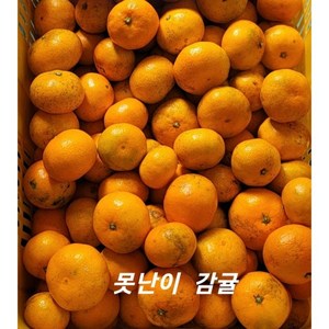 못난이감귤 10kg GAP농산물인증 [경흥농원] 서귀포 최대규모 농장 직배송, 1개