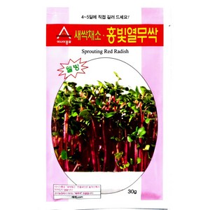 아시아종묘 씨앗 새싹 홍빛열무싹 1kg, 1개