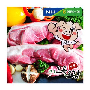 함평농협만나초록오감 앞다리살, 1개, 500g 구이용