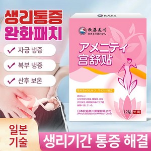 생리통 패치 생리통완화 TJ-12, 1세트, 12개입