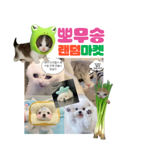 팬시 도무송 스티커 강아지 고양이 냥이 뽀무송 스쿱마켓 랜덤마켓 랜덤박스 아이브 덤 예쁜 프리쿠라, 1개