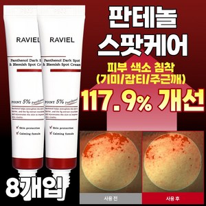 라비엘 판테놀 잡티 앤 기미 스팟 크림, 15ml, 16개