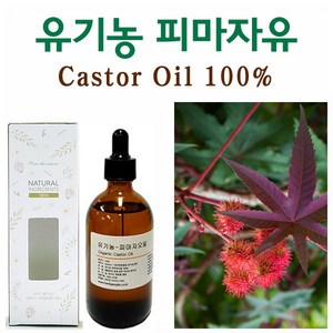 허브인 유기농(Oganic)피마자오일 + 브러쉬증정, 유기농50ml, 1개