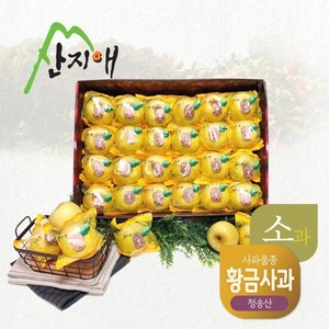 씻어나온 꿀사과 5kg 1box 봉지 세척사과 12bix, 1개