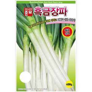 아시아종묘 씨앗 파 흑금장파 10g, 1개