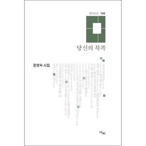 당신의 북쪽:문영숙 시집, 문영숙 저, 애지