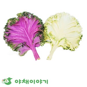 야채이야기 로즈잎 1kg (800g-1kg) 적로즈 백로즈 혼합로즈, 1박스