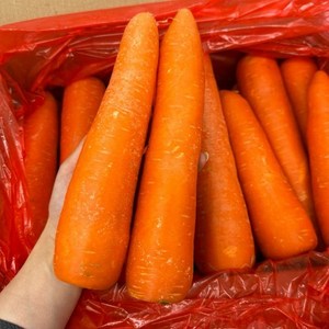 [당일출고]세척당근 가성비 주스용 업소용 요리용 5kg 10kg 판매 달담, 2개