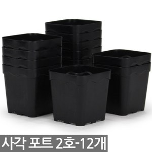 사각 포트 2호 12개 - 모종판 연결포트 모종 다육포트 트레이 재배 씨앗 연결포트 묘목 모판 화분 다육이, 05_세인_사각포트(2호) x 12개