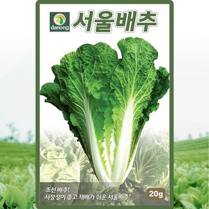 다농 서울배추 씨앗 20g 엇갈이배추씨 종자, 1개