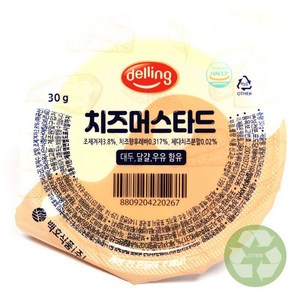 델링 일회용 치즈머스타드소스 한박스(30g x 100ea), 30g, 100개