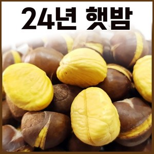 24년 햇 약단밤 칼집약단밤 1kg+1kg [구워먹는밤], 1kg, 2개