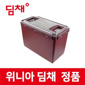 위니아 정품 GDL22BEMFS 딤채 냉장고 14.1L 김치 용기 보관 통 함 밀폐 투명EZ생생 wnk02848