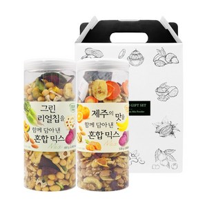 혼합견과 2종 선물세트(그린 리얼칩+제주의 맛), 480g, 1개