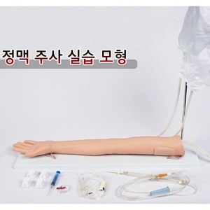 정맥주사 실습모형 고급형 (받침대포함) 간호학원 보건교육, 1개