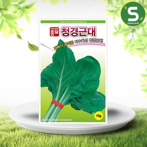 솔림텃밭몰 근대씨앗 15g 청경근대 쌈채소 채소씨앗 내병성품종, 1개