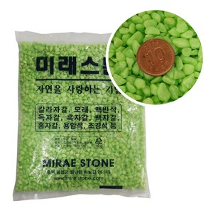 테라리움 어항 화분꾸미기 색자갈 연두색 1kg, 1개