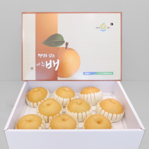 프리미엄 고당도 햇배 신고배 선물용배 나주 배, 1개, 가정용 5kg (8-10과)