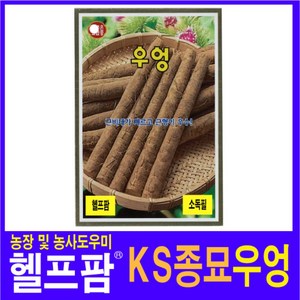 헬프팜 우엉 200립 씨앗 종자 KS종묘, 1개