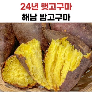 해남 황금 밤고구마, 1개, 5kg(한입)