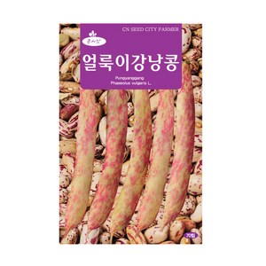 청농 얼룩이 강낭콩 씨앗 70립 비덩굴 강낭콩씨 종자 키우기, 1개