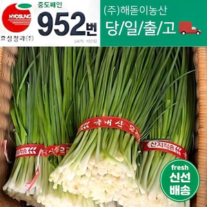 해돋이농산 깐쪽파 1단 2단 3단 5단 10단, 2단(2kg내외), 1개