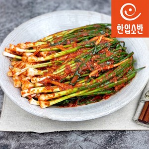 한입소반 직접담근 전라도식 파김치 500g, 1개