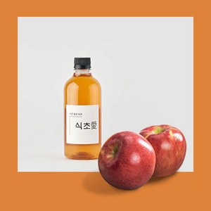 [식초사랑] 사과 식초 옹기 자연 숙성 국내산 애사비 수제 과일초, 1개, 500ml