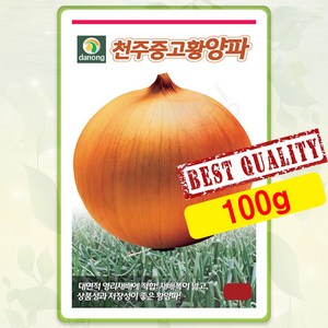 양파 씨앗 100g 천주중고황 흰양파 종자 씨 봄 여름 가을 양파씨 DN, 1개